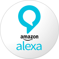 Alexa, amazon, command, echo, smart, speaker, voice icon | Icon 