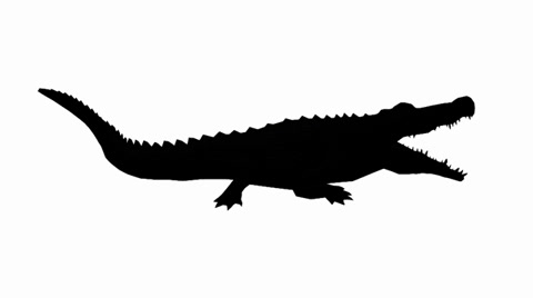 the noun project alligator