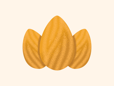 Almond icons | Noun Project