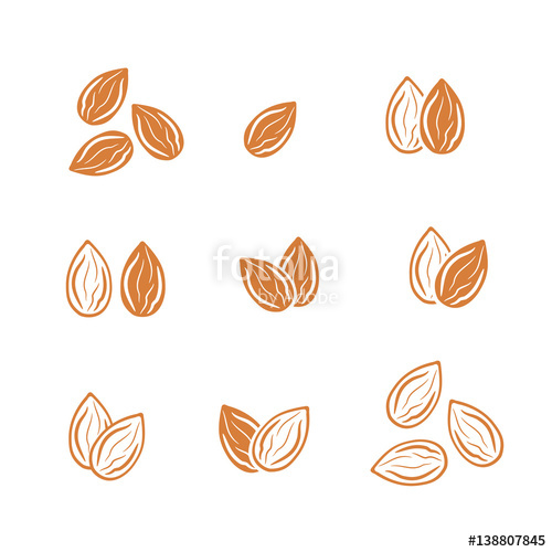 Almond Icons - Iconshock