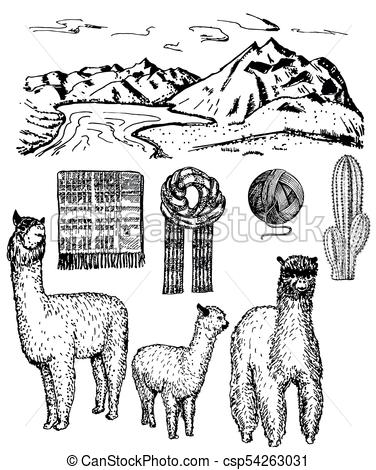 Cartoon alpaca icon Royalty Free Vector Image - VectorStock