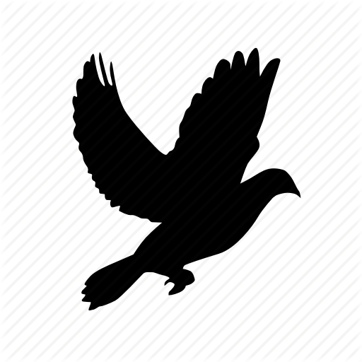 Bird,Wing,Claw,Bird of prey,Silhouette,Beak,Accipitriformes,Logo,Illustration,Eagle,Falconiformes,raven