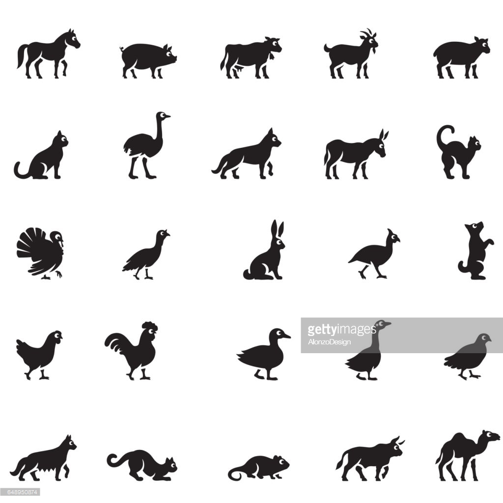 Animals Icon Set Flat Set Animals Stock Vector 793705915 