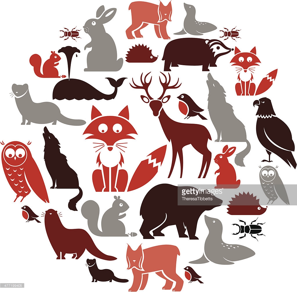 Animals vectors,  31,700 free files in .AI, .EPS format