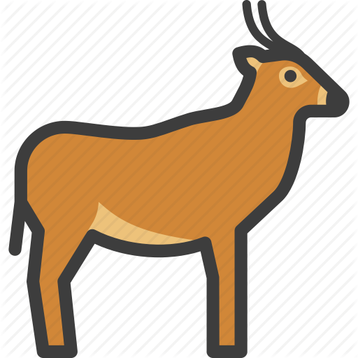 antelope # 116130