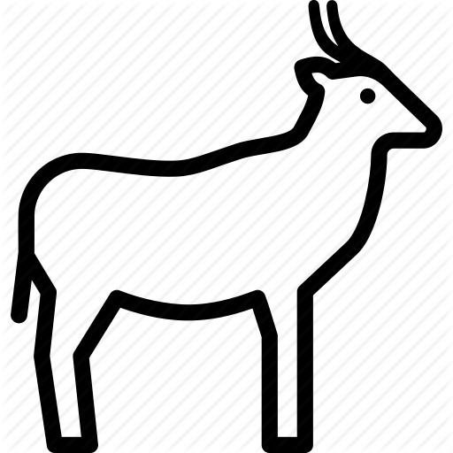 antelope # 116183