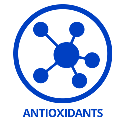 Antioxidants  