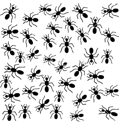Ants Icon  | 