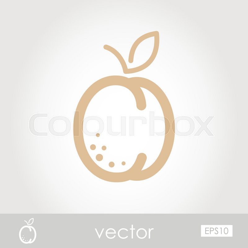 The modern vector apricot icon, eps 10 | Stock Vector | Colourbox