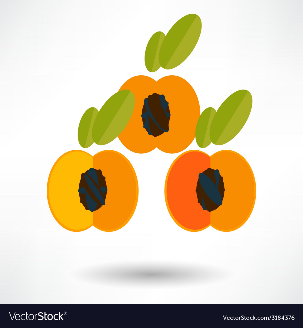 Fresh apricot icon in cartoon style Royalty Free Vector