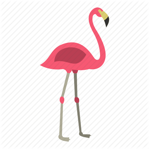 flamingo # 116961