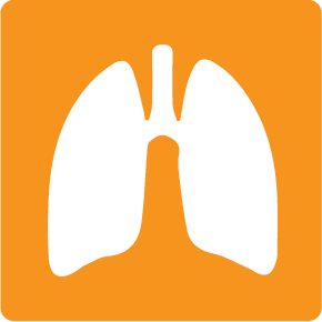 Asthma, breathing, gills, human organ, lungs, lungs symbol 