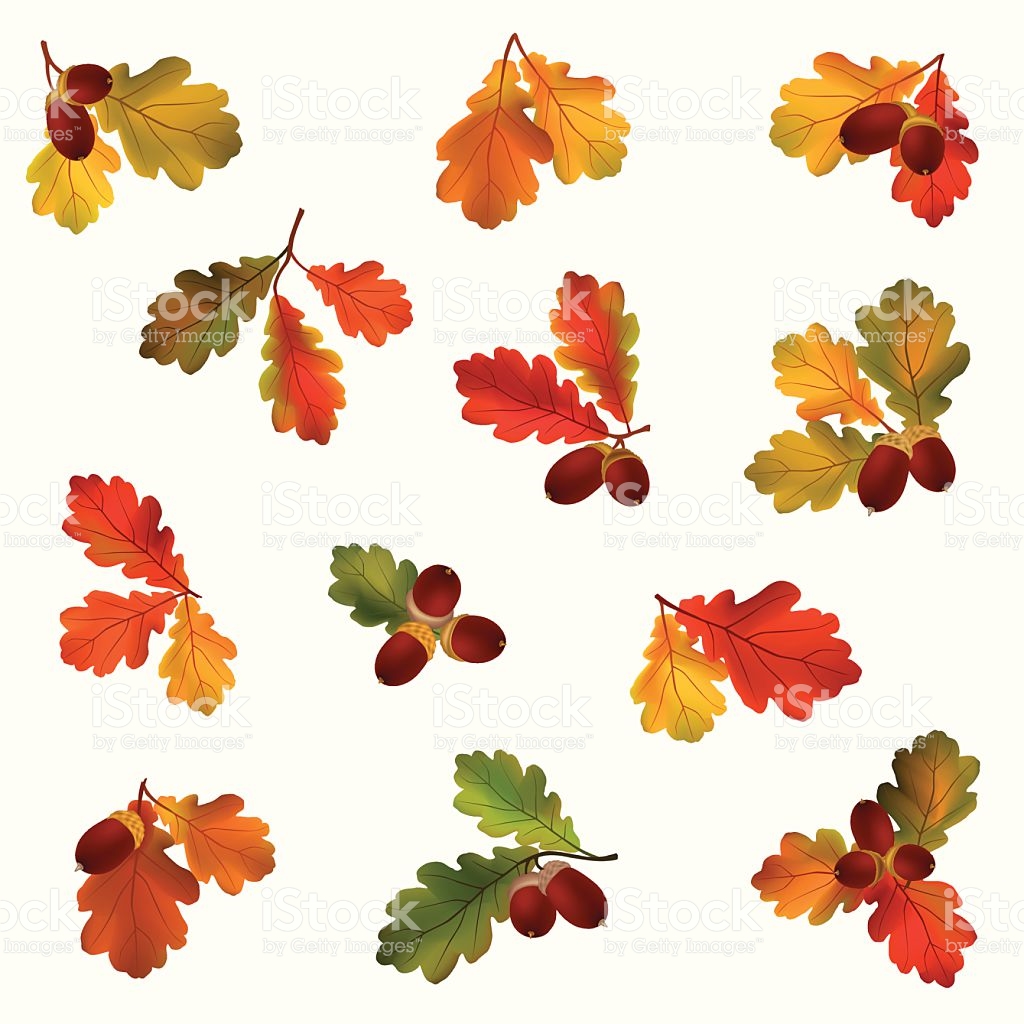 Autumn icons stock vector. Illustration of boots, leaf - 33432605