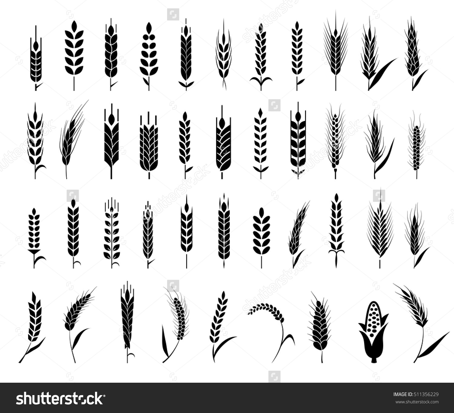 Barley, beer, ear, logo, malt, ribbon, wheat icon | Icon search engine