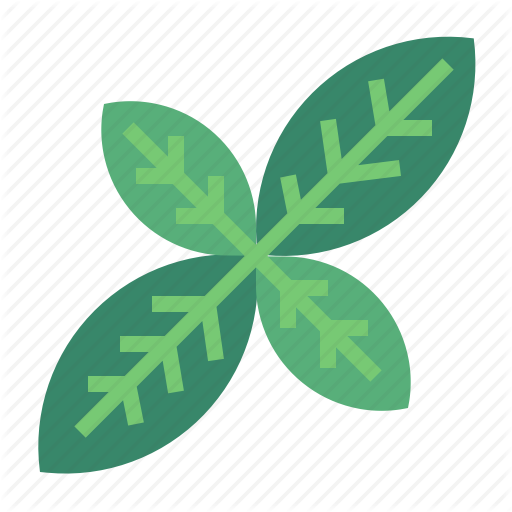 Leaf,Green,Plant,Font,Logo,Symbol,Clover