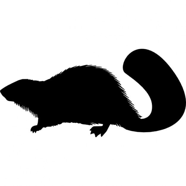 Beaver icons | Noun Project