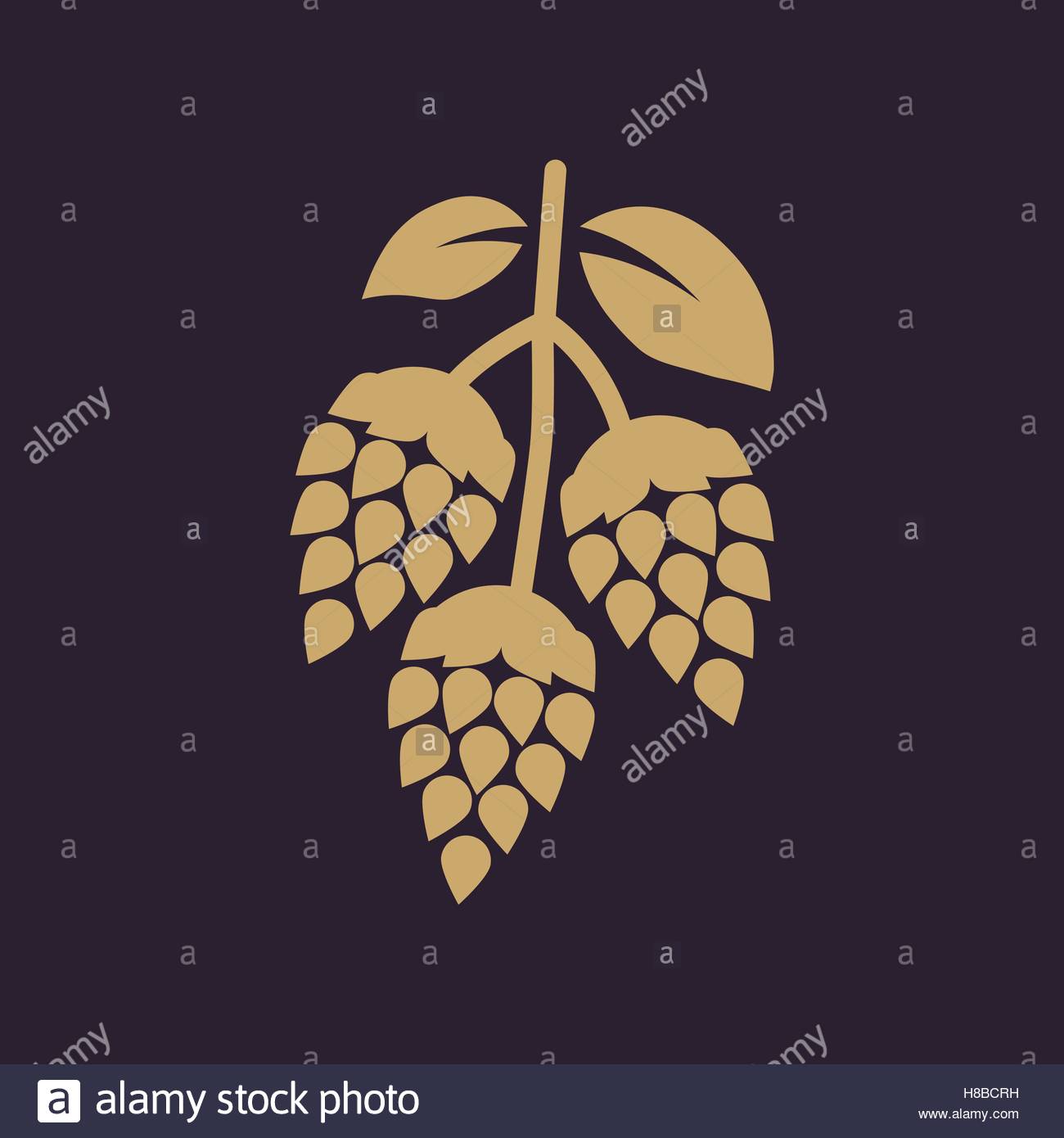 Beer, brew, drink, hops, malt, plant, vegetable icon | Icon search 