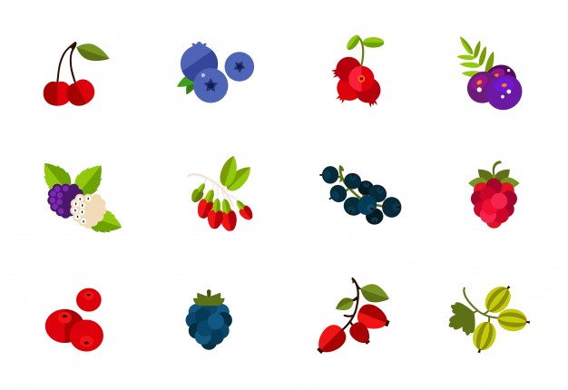 Acai berries, berries, berry, blueberry, citrus, cranberries 