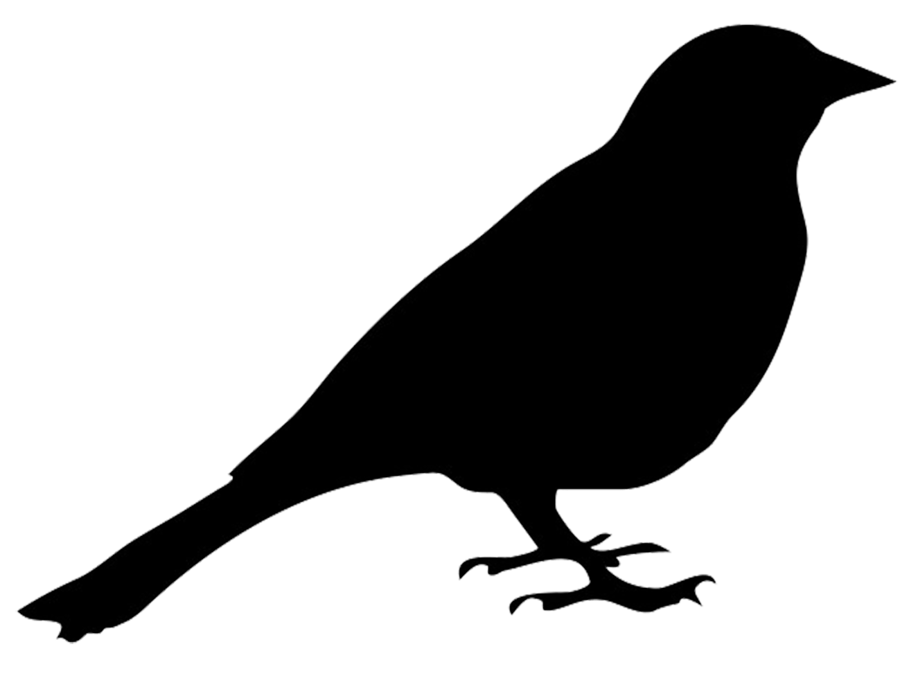 Bird Icon | IconExperience - Professional Icons  O-Collection