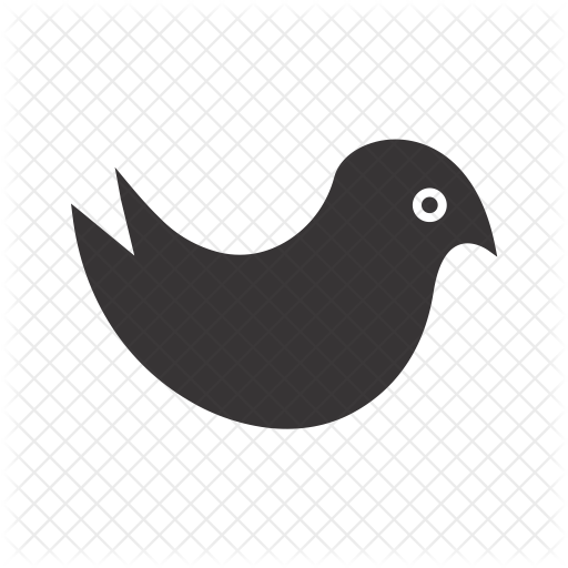 Bird icons | Noun Project