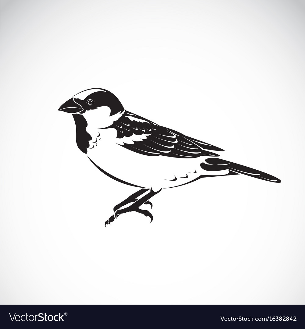 Swift bird shape - Free animals icons