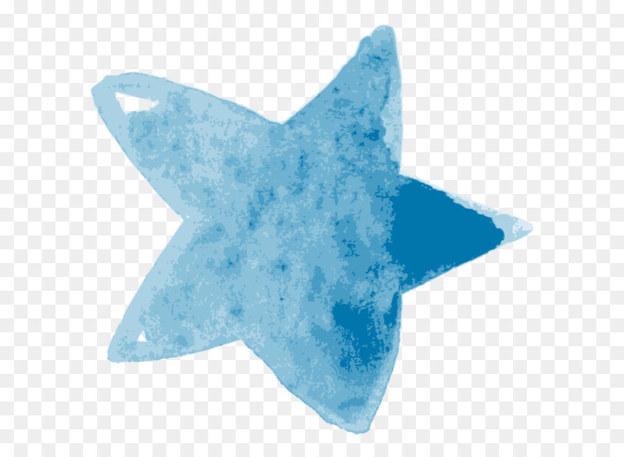 Blue,Aqua,Turquoise,Azure,Echinoderm,Star,Turquoise,Electric blue,Starfish
