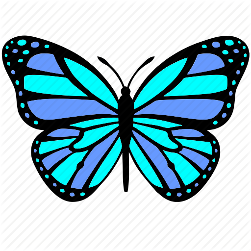 Moths and butterflies,Butterfly,Cynthia (subgenus),Insect,Brush-footed butterfly,Monarch butterfly,Viceroy (butterfly),Pollinator,Symmetry,Turquoise,Invertebrate,Clip art,Wing,Pieridae,Lycaenid,Graphics