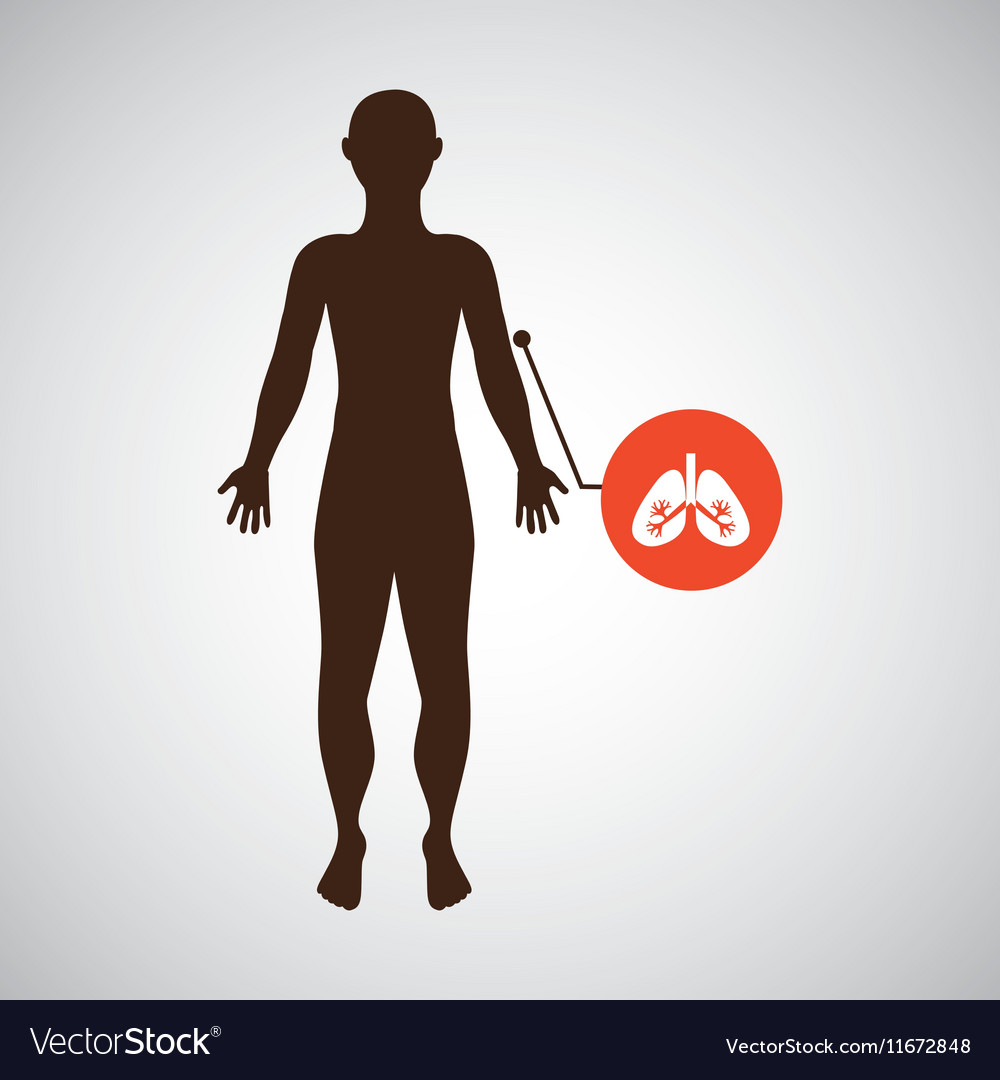 Human male and female body outline with icons of various human 
