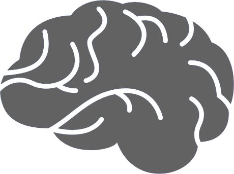 Human brain thin line icon. Human brain icon thin line for 