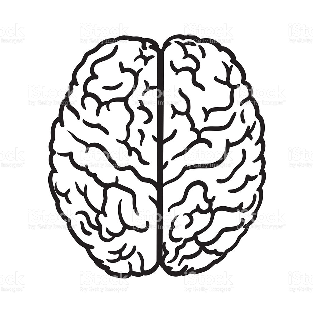 Vector brain icon bw stock vector. Illustration of physiology 