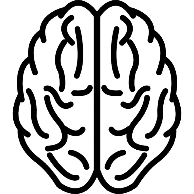 Genius brain icon Vector | Free Download