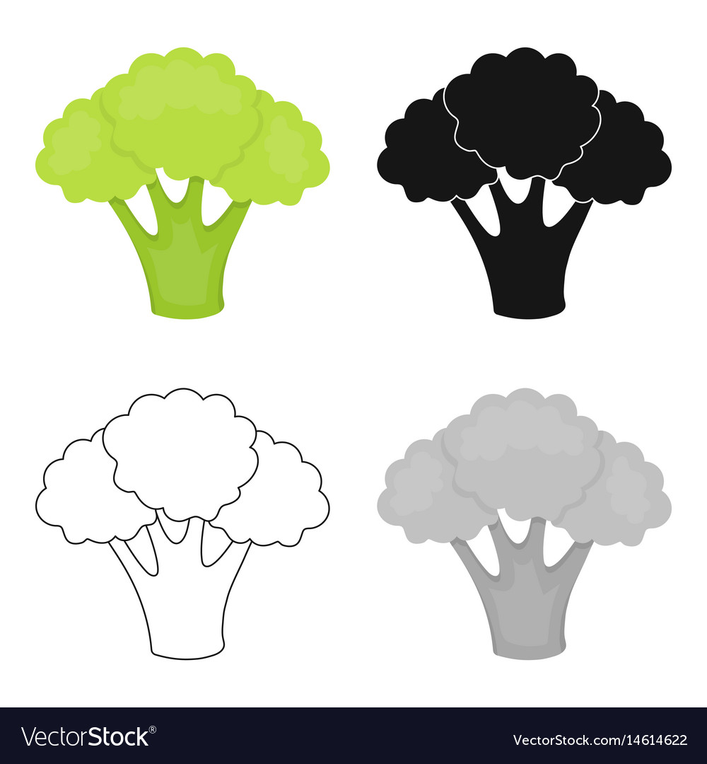 Broccoli icons | Noun Project