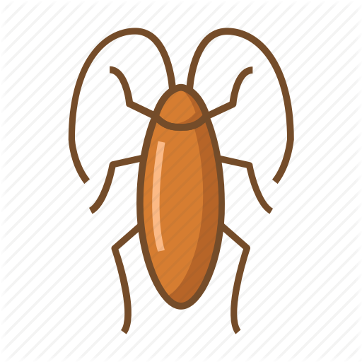 beetle # 119525