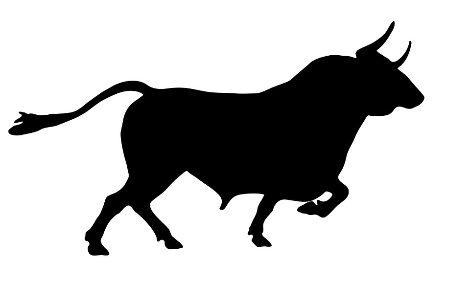 Bullhorn Icon | Small  Flat Iconset | paomedia