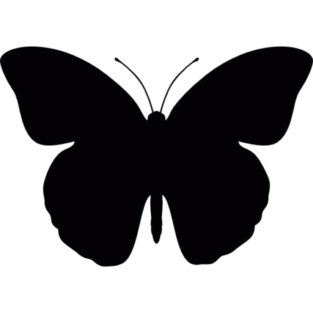 butterfly # 120251