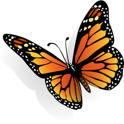 monarch-butterfly # 120252