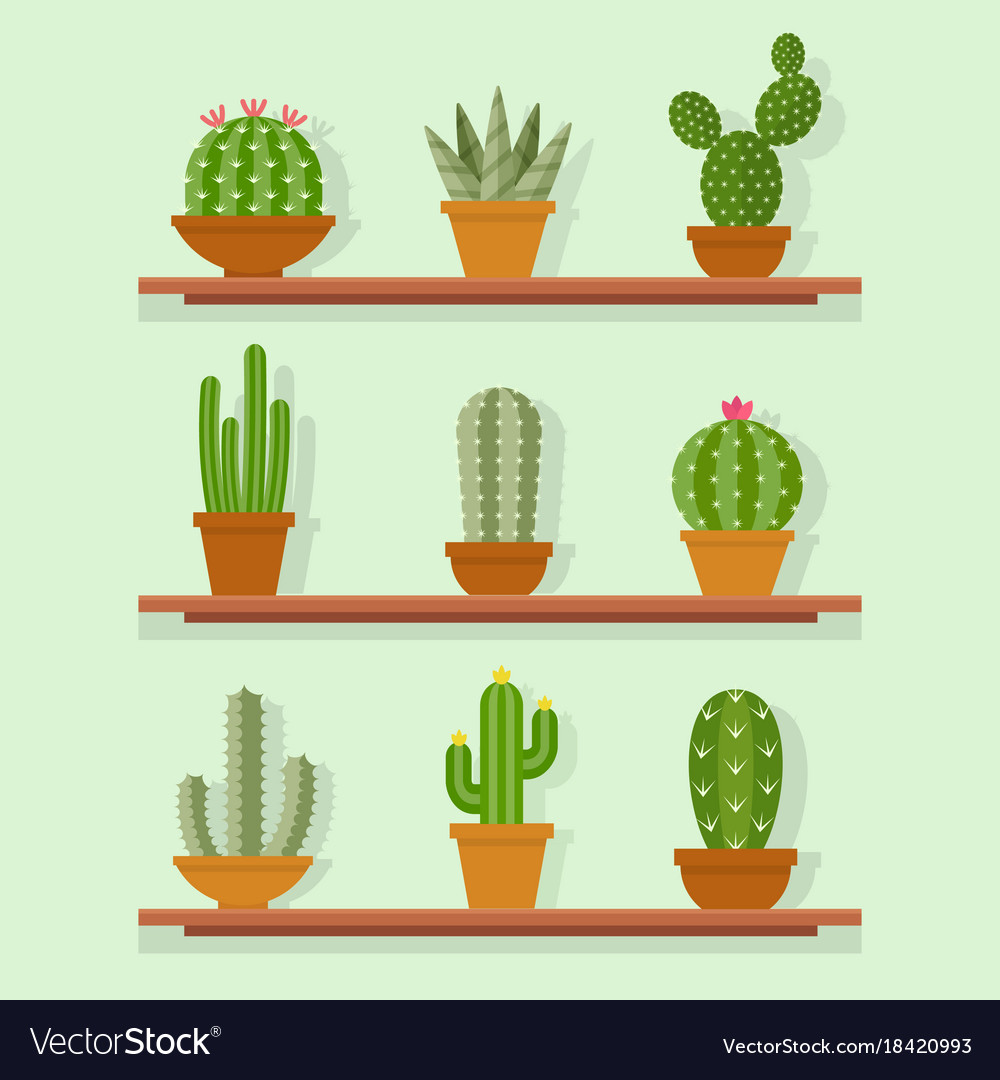 IconExperience  I-Collection  Cactus Icon