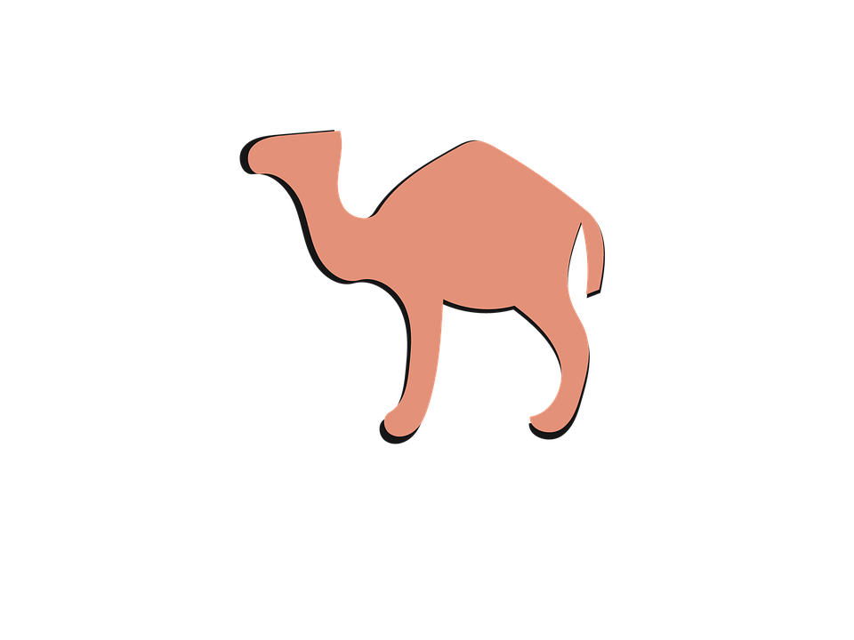 arabian-camel # 120935