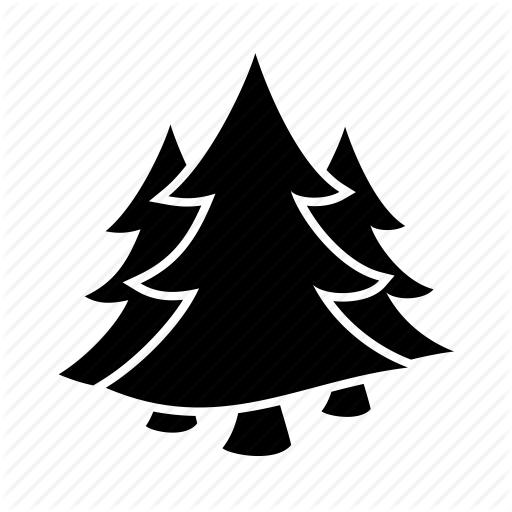 Tree,Christmas tree,Woody plant,Illustration,Colorado spruce,Pine,Conifer,Pine family,Plant,Evergreen,Fir,Christmas decoration,Black-and-white,White pine,Interior design,oregon pine