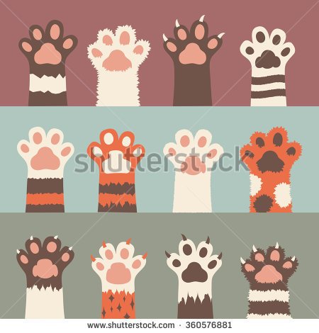 Animals, Cats, Cat, dogs, Pawprints, dog, Paws icon