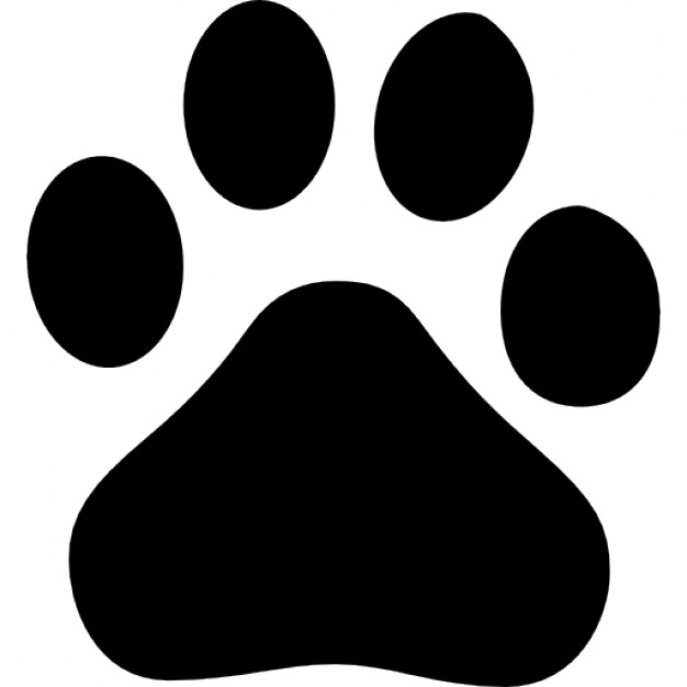 Paw Icon Dog Paw Cat Paw Logo Vector Illustration  Stock Vector 