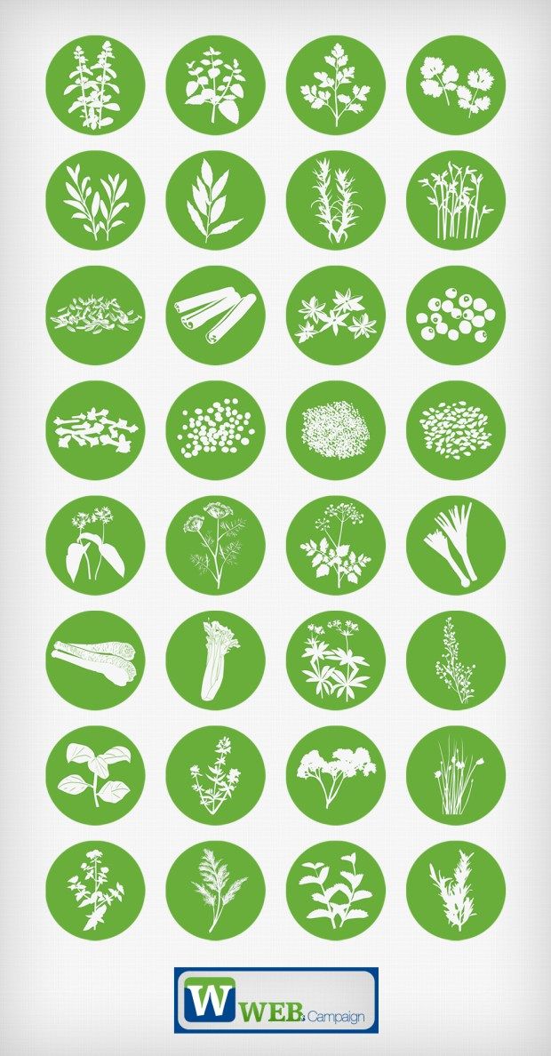 Green,Text,Font,Leaf,Plant,Symbol,Pattern,Label
