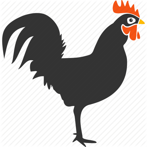 rooster # 123657