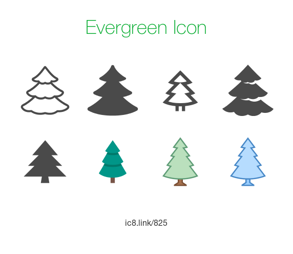 evergreen # 124533