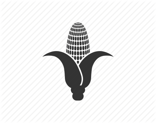 Corn cartoon icon - Transparent PNG  SVG vector