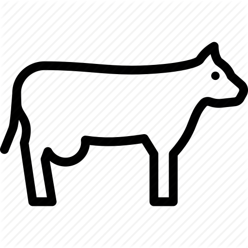 bovine # 125148