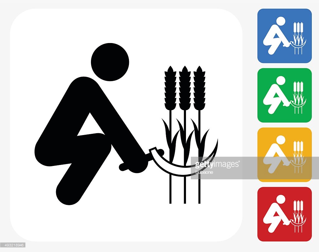 Agriculture Farm Crops And Plants Icons Set Of Nine Stock Vector 