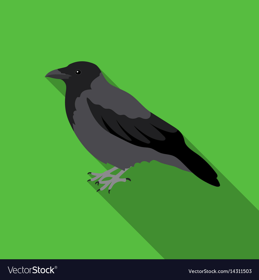 Animal, bird, crow icon | Icon search engine
