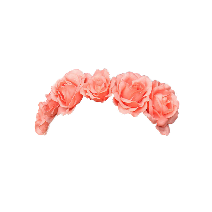 Pink,Orange,Petal,Fashion accessory,Finger,Peach,Hair accessory,Rose,Hand,Rose family,Flower,Plant,Headband,Hair tie,Rose order