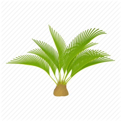 terrestrial-plant # 125958